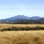 Marion, Jean and San Jacinto peaks in the background.  Photos by Bruce Watts