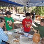 Acorn Day fun, educational