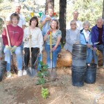 Volunteers plant 50 lilac trees at Idyllwild Inn