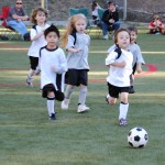 Sports Roundup: Town Hall Youth Soccer
