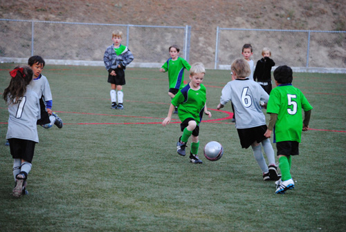 Sports Roundup: Town Hall Youth Soccer