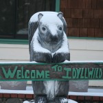 Idyllwild’s wildlife