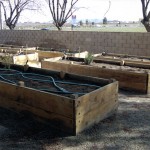 Young Idyllwild to launch community garden