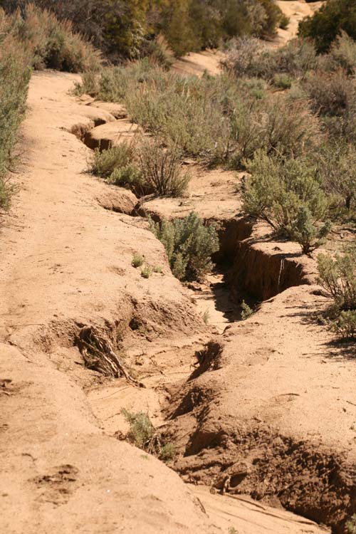 May Valley trails have Forest Service future