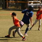 Sports Roundup: Town Hall Youth Baseball
