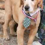 Max, Idyllwild’s Mayor, sworn into office