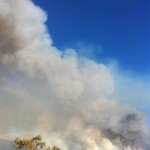 Mandatory fire evacuation in Aguanga, Sage