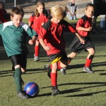 Sports Roundup: Town Hall Youth Soccer