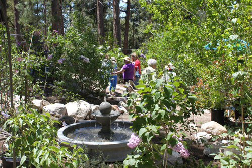 Idyllwild Garden Tour returns