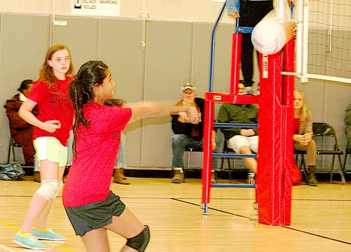 Idyllwild Girls Volleyball played Noli School from San Jacinto on Wednesday, Nov. 20. Idyllwild won both games, 25-12, and 25-15. Photo by Jay Pentrack