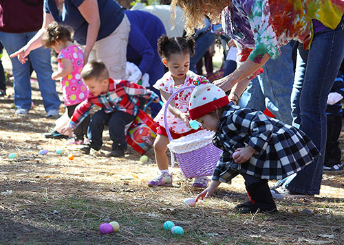 Toddlers through 3 years of age search for eggs on Saturday morning, March 30 during the hunt at the Community Center site.                     Photo by Jenny Kirchner