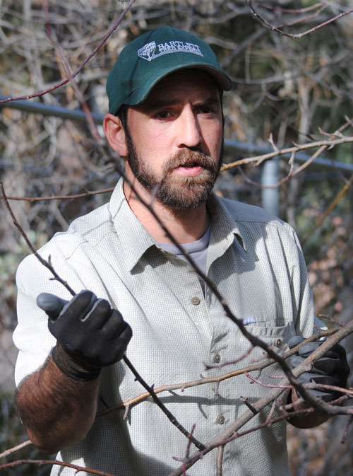 Arborist John Huddleston demonstrates how to prune an apple tree on Saturday.  Photo by Halie Johnson