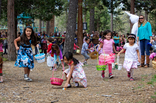 EASTER FUN: Kids race to find the eggs at the annual Idyllwild Easter Egg Hunt last Saturday at the Idyllwild Community Center site. Dozens of egg hunters participated in the search.     Photo by Gina Genis 