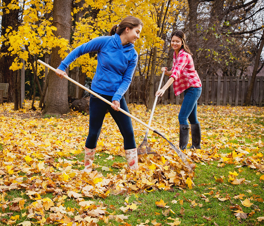 Уборка листвы. Уборка листьев. Уборка осенних листьев. Дети убирают листву. Осень уборка листьев.