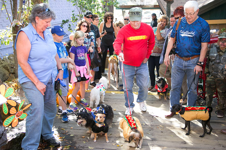 HOT DOG! Dakota (center) and owner Danny Richardson approach the judges to get their first-place prize Saturday during the Harvest Festival Halloween dog costume contest in Village Lane.        Photo by Jenny Kirchner