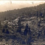 Before our Time: Sawmills were common in the forest …
