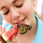 Annual Butterfly Daze at the Nature Center
