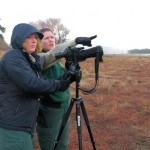 Two adult bald eagles spotted at Lake Hemet