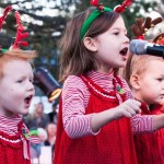 PHOTOS: Idyllwild’s Tree Lighting ceremony