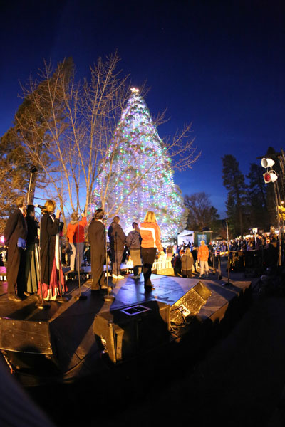 The moment the crowd is waiting for ... the tree is lit. Photo by Cheryl Bayse