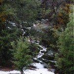 A flow of snow comes down the Hill at the Idyllwild Nature Center after the snowstorm Wednesday morning. Though this photo shows a patchy layer in Idyllwild, Idyllwild Fire Department reported 2 inches of snow that day. Photo by J.P. Crumrine