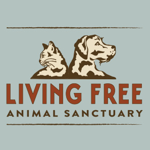 New policies increase adoptions at Living Free