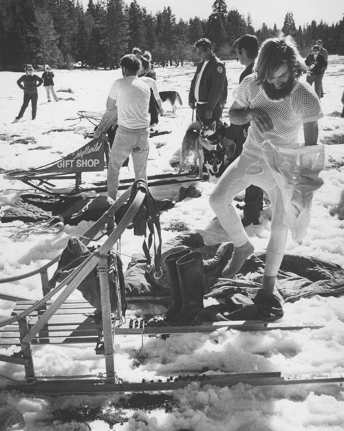 Sled dog races in February 1974. File photo