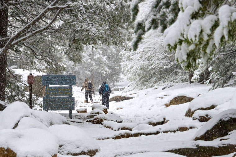 On Sunday morning, March 1, two brave hikers head up Devil’s Slide Trail as the snow continues to fall. More weather photos inside. Photo by Gallagher Goodland