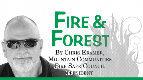 Fire and forest chris kramer