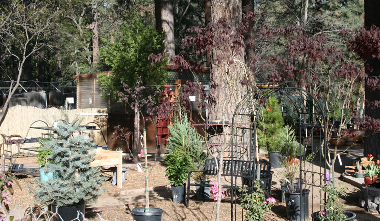 Four Seasons Nursery reopened Friday, April 3. Photo by Marshall Smith