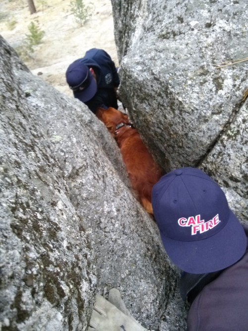 Cal Fire chiseled the rock to release Aslan, Thursday May 21