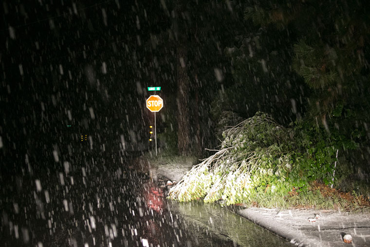 A branch or small tree seemed to succumb to the heavy rain and snow on San Jacinto Rd and Lodge Rd in Fern Valley Thursday night. Photo by Jenny Kirchner