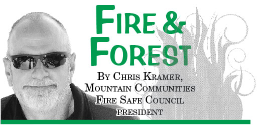 fire-forest-chris