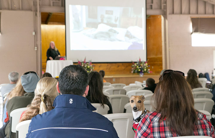 Pookie remembered About 60 people attended the memorial service for the dog Pookie Mueller at Idyllwild Pines Saturday afternoon. Phyllis Mueller addresses the crowd. Pookie was a companion of Mayor Max and his deputies. Photo by Jenny Kirchner 