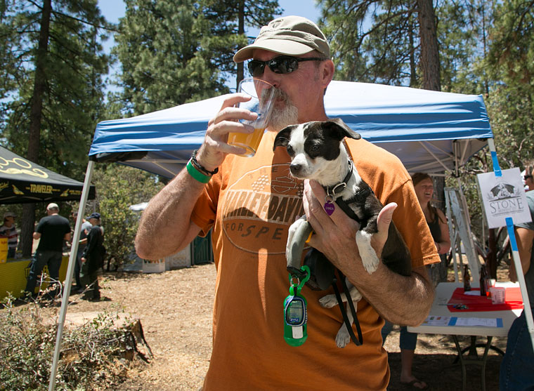 “Dahlia” was one four-legged customer with her owner at the Paws for Rhythm and Brews Craft Beer Festival at the Idyllwild Nature Center Saturday. The Animal Rescue Friends of Idyllwild organized and sponsored the event. Photo by Jenny Kirchner