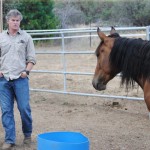 Living Free opens doors to wild mustangs, too