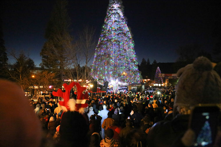 Lights adorn the Idyllwild Christmas Tree Saturday before another huge crowd. In the background is the Children’s Christmas Tree. Photo by Cheryl Basye 