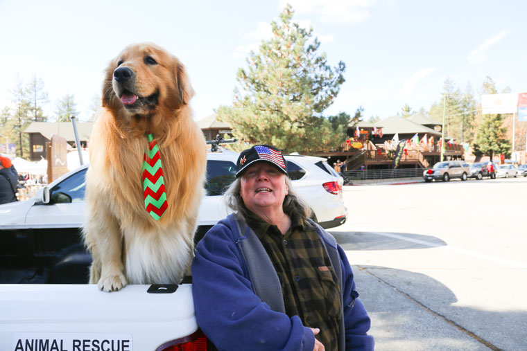 Idyllwild’s honorary Mayor Max, accompanied by Chief of Staff Phyllis Mueller, anticipates the crowds of fellow canines and children and some adults for the annual Christmas Tree Lighting Ceremony last Saturday.