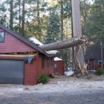 Parts of Fern Valley without electric power for two days: Wind dropped trees on lines