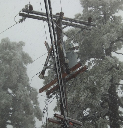 The tree damaged the power pole and lines