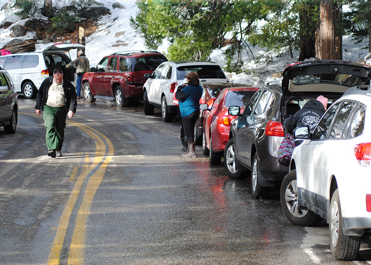 Cars parked at Humber Park on Monday afternoon. Photo by Jack Clark