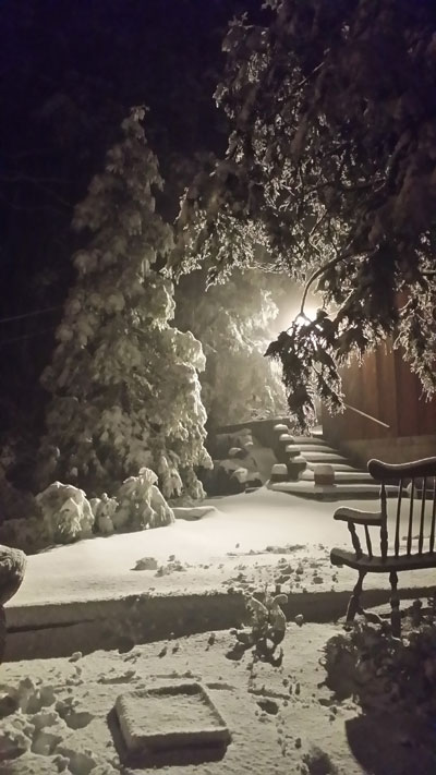 Susan Foster’s dog Dharma woke her up the night of Jan. 6 to go out to play. She loves the snow, as is evidenced by the what she did to it.Photo by Susan Foster