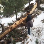 Photos: This week in Idyllwild: January 7, 2016