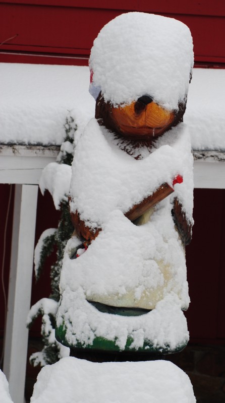 This bear in front of Fratello's is ready to bake not hibernate