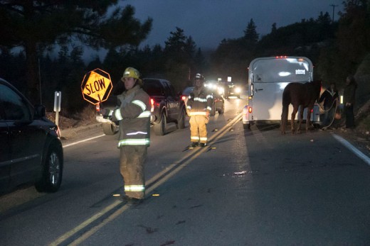 At about 5:15 p.m. Saturday, Idyllwild Fire responded to an incident on Highway 243 between Marian View and Saunders Meadow. According to witnesses, a truck pulling a horse trailer was traveling north on Highway 243 when the door of the trailer opened. The horse fell out of the trailer and onto the highway. The horse broke both rear legs and was euthanized because of the injury. Photo by Jenny Kirchner