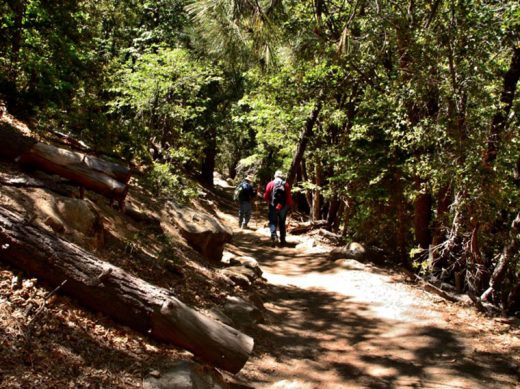 Several hikers enjoyed the beauty and tranquility of Devil’s Slide Trail last week. Photo by Tom Pierce