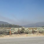 Governor and legislation seeking to mitigate wildfire threats