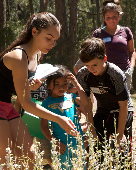 Jr. Naturalist McKenzie Nunez (left) identifies lupines in the wild with Nature Center visitors Alice Estrada and Christopher Watson and fellow Jr. Naturalist Jessica Ruelas (right, background) last Saturday. Photo by John Drake