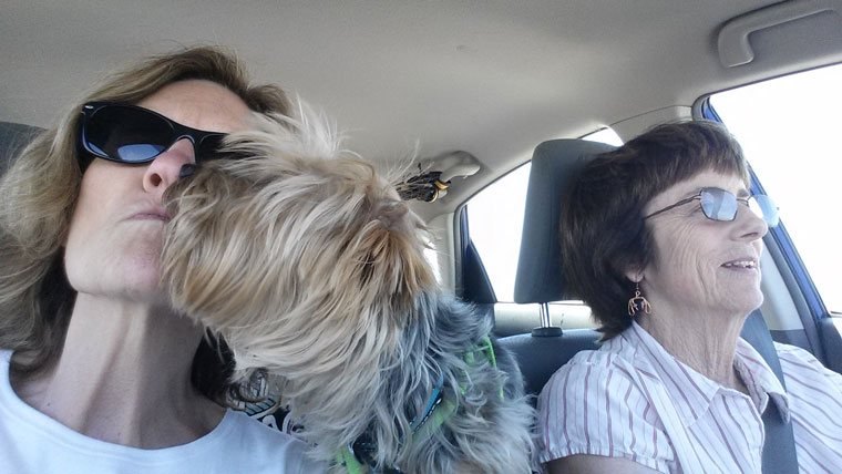 ARF’s Janice Murasko (left) and Terri Hardy with always-affectionate Lucky on their road trip to return Lucky to his owner in Utah. What’s a road trip without dog kisses?  Photos courtesy Janice Murasko