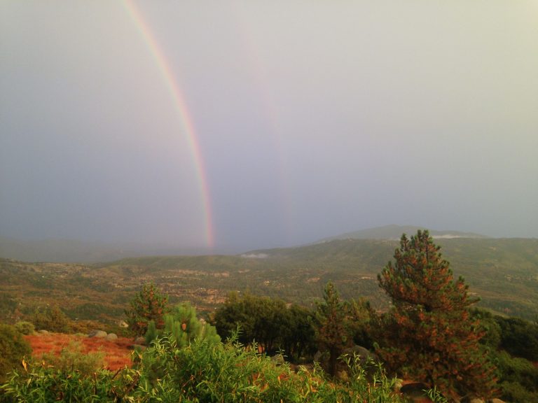 First big storm drops 2 inches of rain